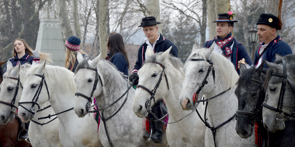 pokladno jahanje 2018