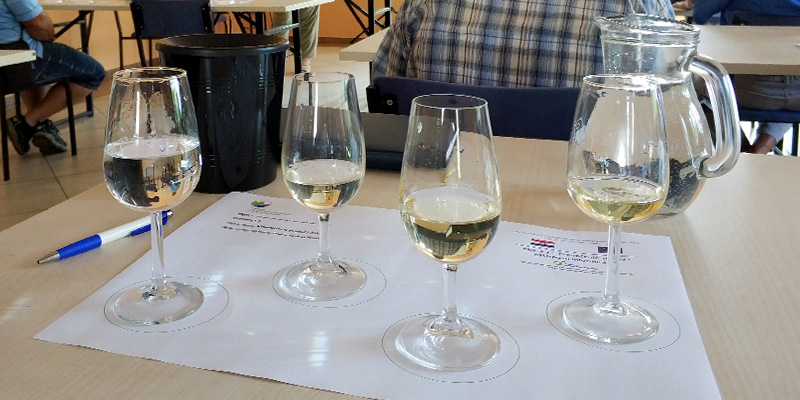 vinarstvo u praksi i casi 1